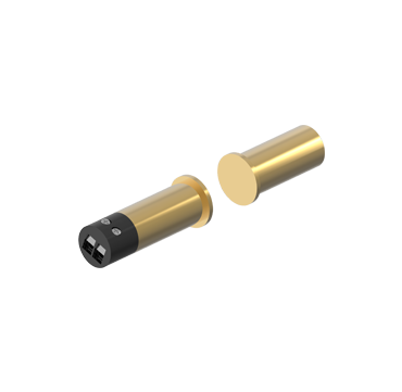 990000110_golden_picture.png